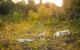 High-Tech putzt – Reinigungsroboter zur Reinigung von Hamburger Grünflächen einsetzen
